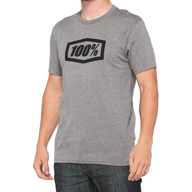 T-Shirt 100% ICON Grau 2022 0
